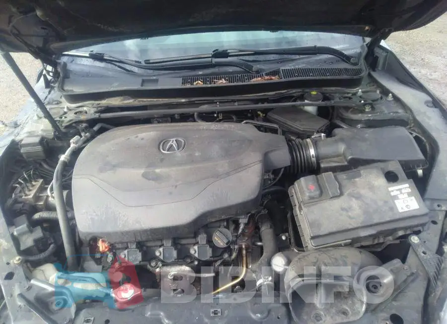 19UUB2F51GA011315 Photo# 9