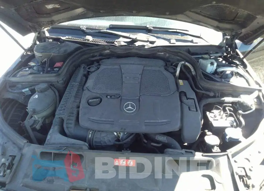 WDDGF8AB9DR267625 Photo# 10