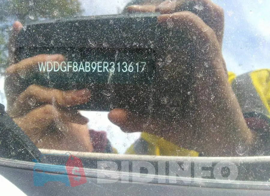 WDDGF8AB9ER313617 Photo# 9