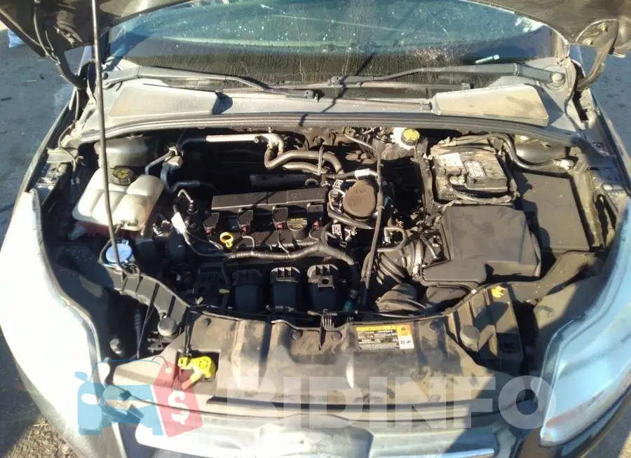 1FADP3K2XEL176305 Photo# 10