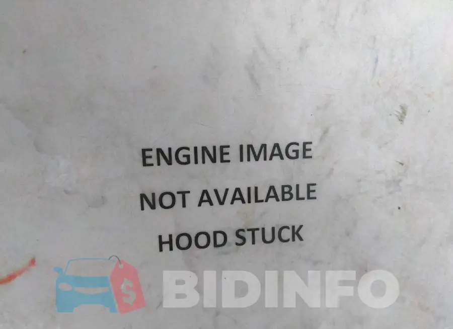 1FADP5CU7FL103132 Photo# 10