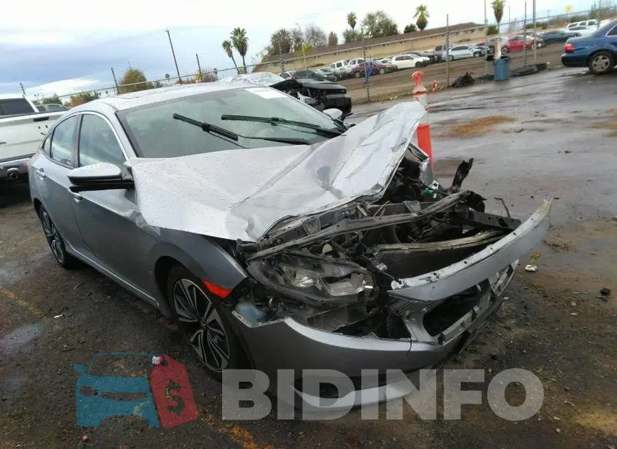 19XFC1F71HE202313 Photo# 1