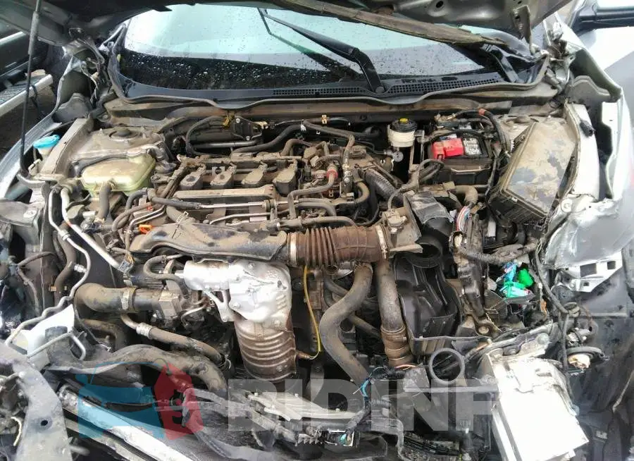 19XFC1F71HE202313 Photo# 10