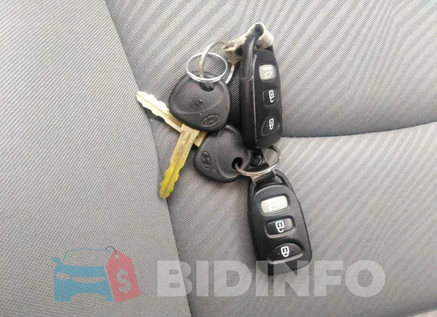 5NPDH4AEXDH335187 Photo# 11
