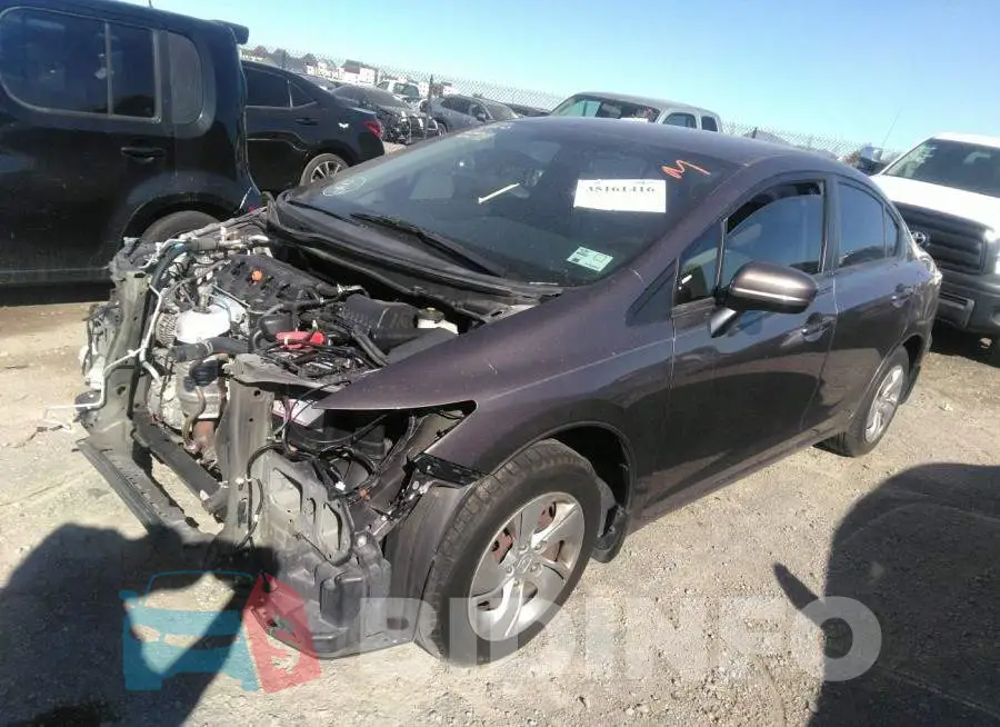 19XFB2F51FE200131 Photo# 2