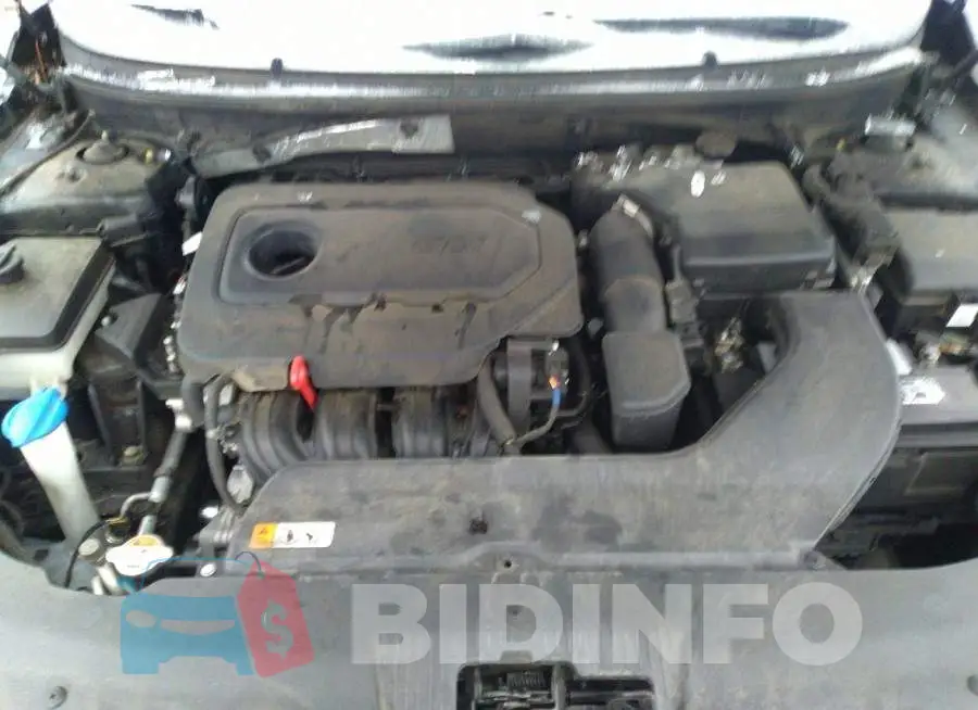 5NPE24AF1FH237117 Photo# 10