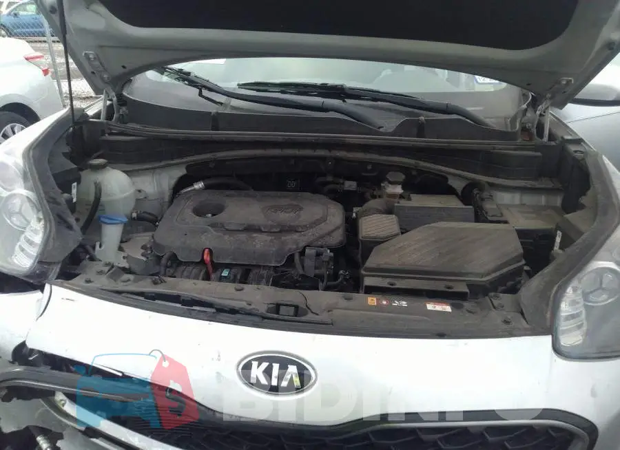 KNDPM3AC1L7721887 Photo# 10