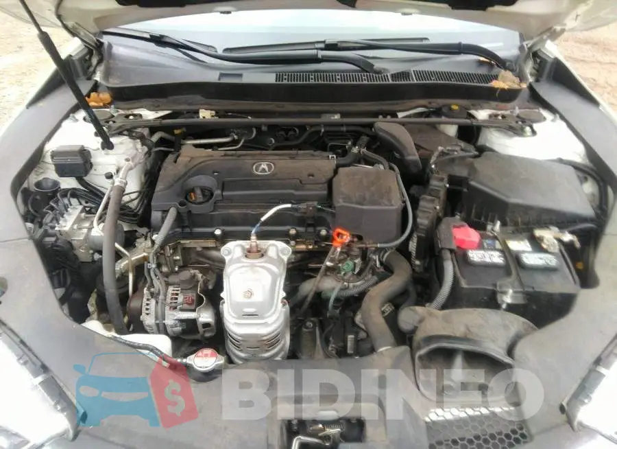 19UUB1F39JA005908 Photo# 10