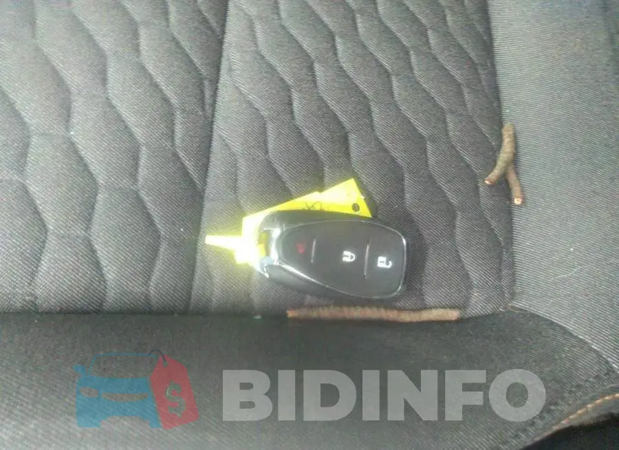 2GNAXTEV0M6139507 Photo# 11