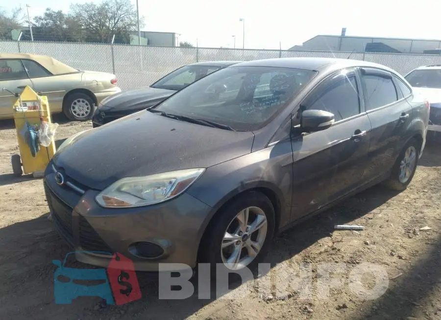 1FADP3F22DL331521 Photo# 2