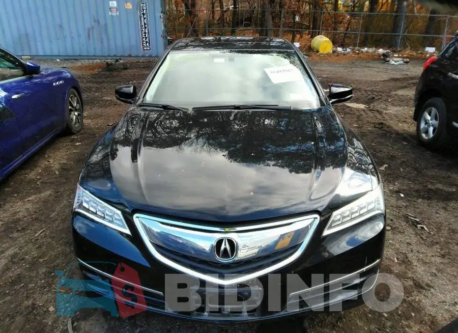 19UUB1F33FA020511 Photo# 6