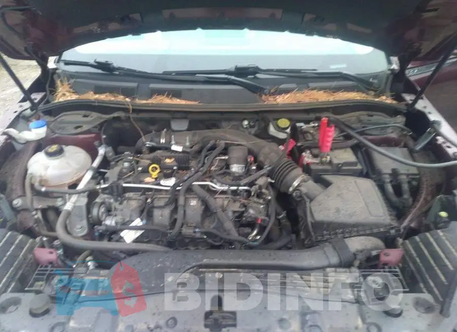 5LMCJ1D98LUL26112 Photo# 10