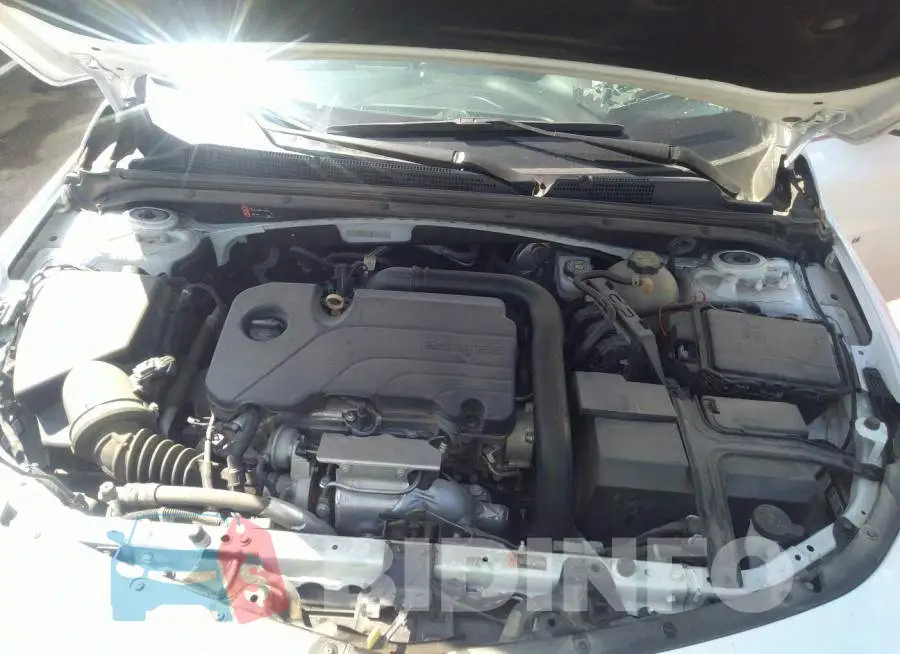 1G1ZD5ST3MF004667 Photo# 10