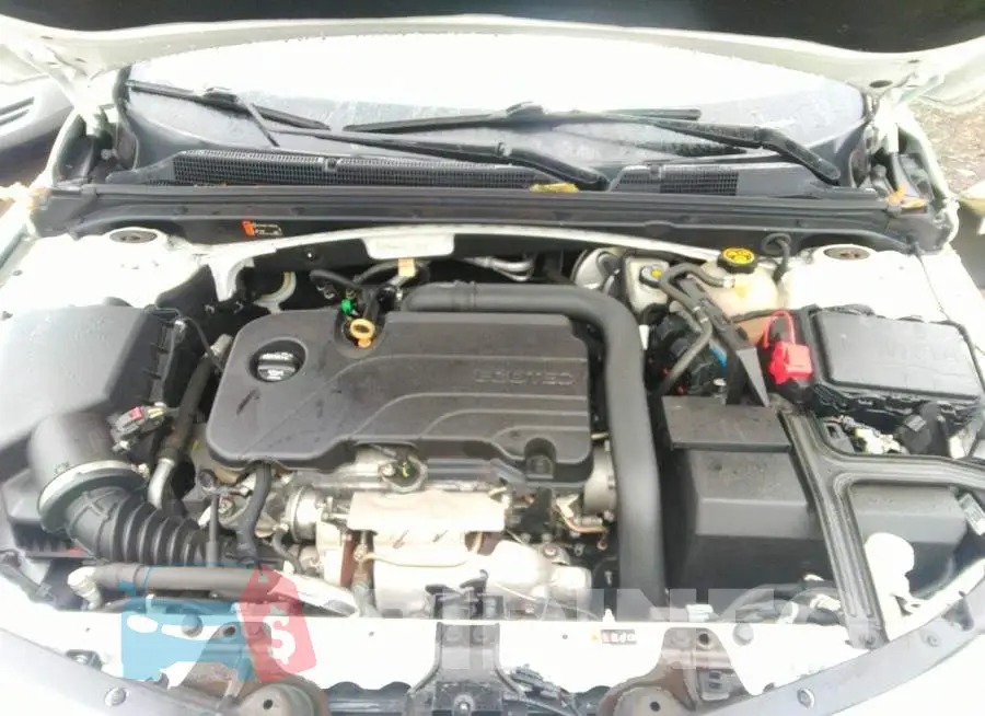 1G1ZD5ST4KF117587 Photo# 10