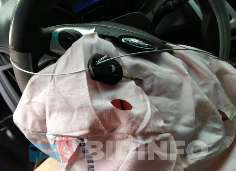 1FADP3F29DL308611 Photo# 11