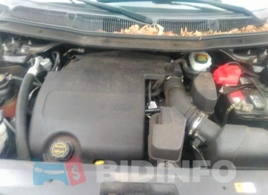 1FM5K8D83FGC44137 Photo# 10
