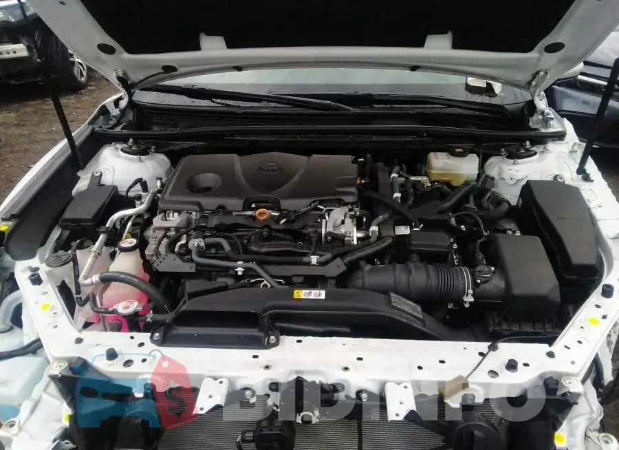 4T1F31AKXLU531027 Photo# 10