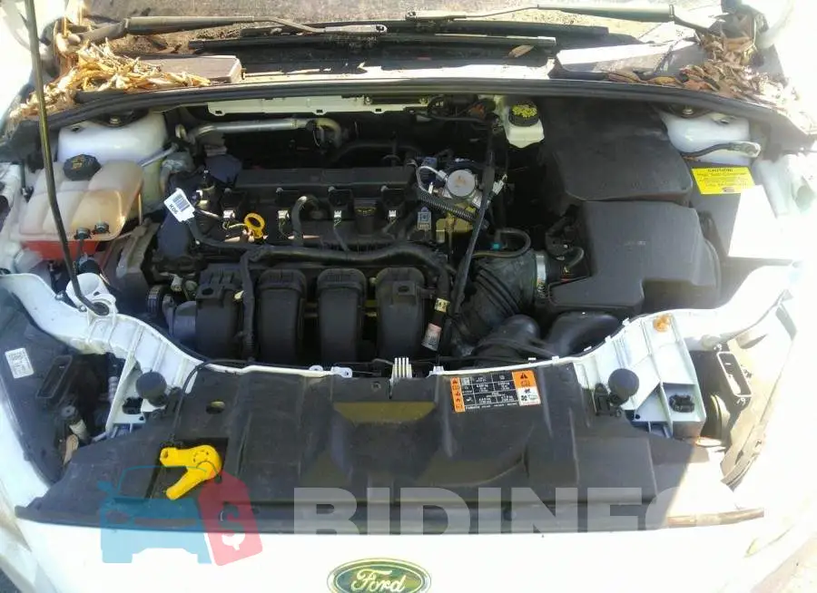 1FADP3F2XHL252054 Photo# 10