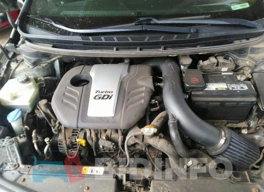 KNAFZ6A36E5248188 Photo# 10