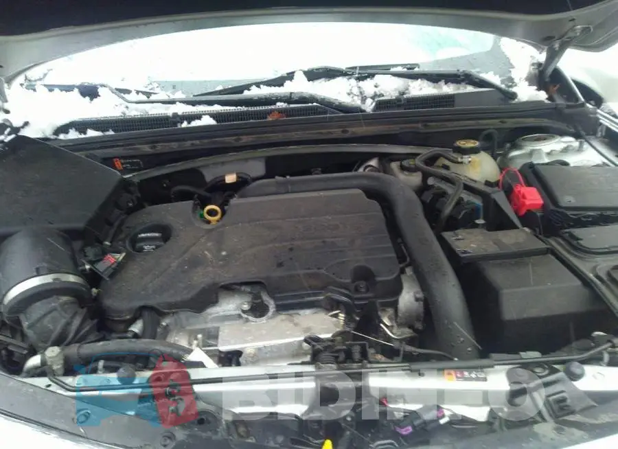 1G1ZD5ST7JF202454 Photo# 10