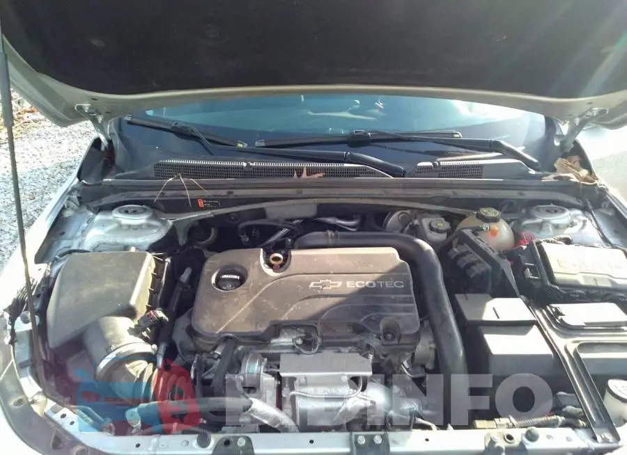 1G1ZE5ST4HF239680 Photo# 10