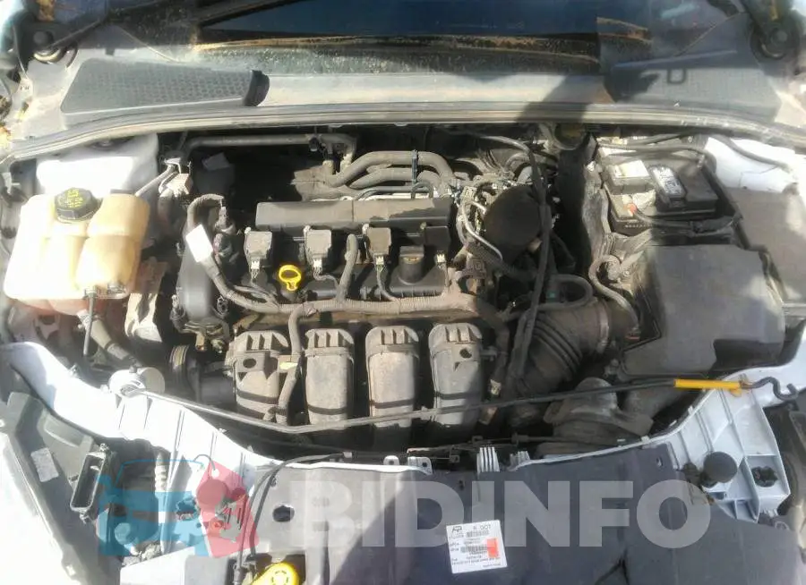 1FADP3F29GL277719 Photo# 10