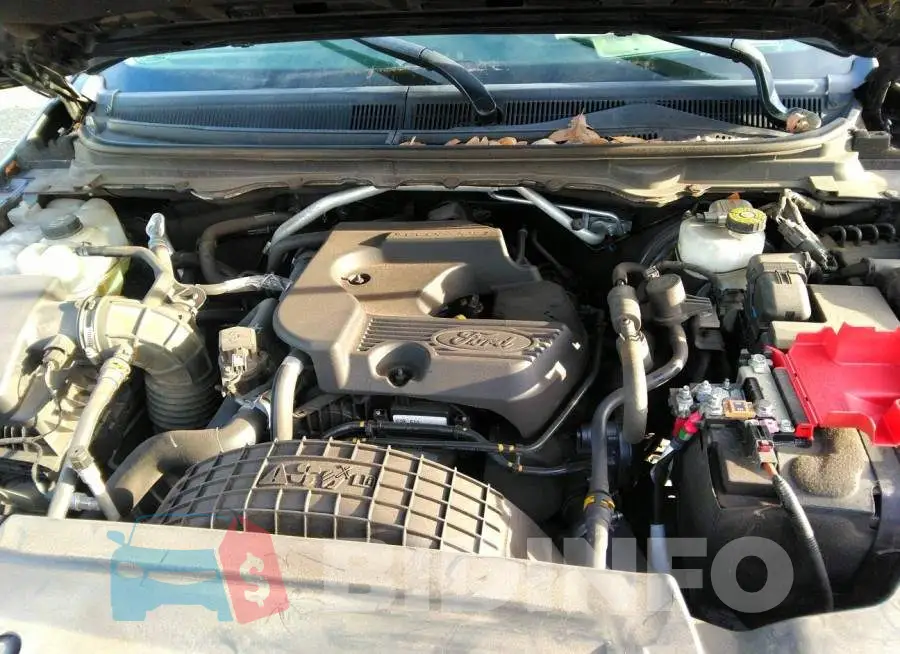 1FTER4FH2LLA21189 Photo# 10