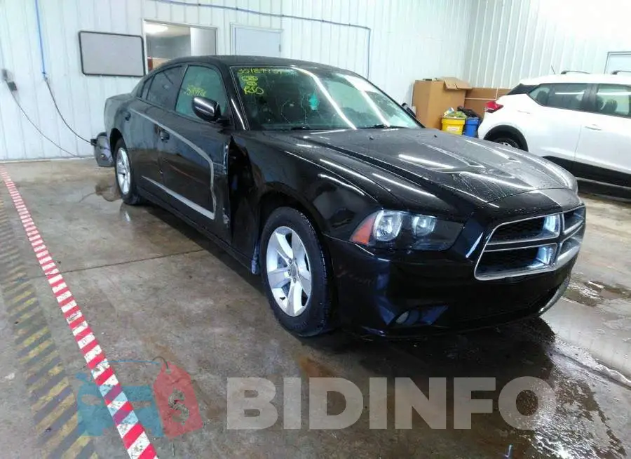 2C3CDXBG5DH502030 Photo# 1