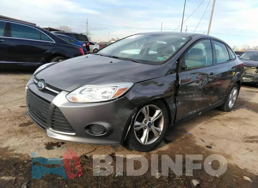 1FADP3F24DL251296 Photo# 2