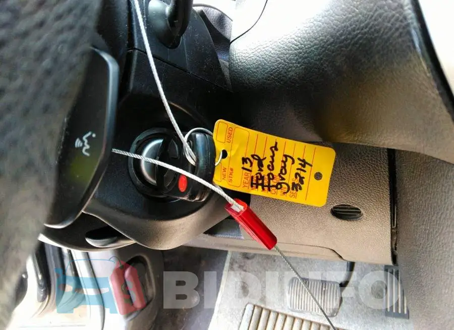 1FADP3F26DL213214 Photo# 11
