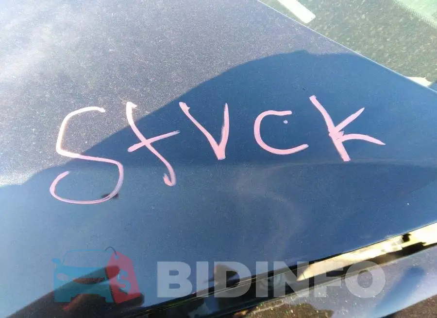 2FMDK4GC2DBB62263 Photo# 10