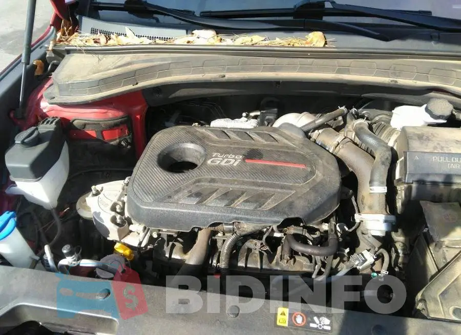 5NMS53AA3LH257144 Photo# 10