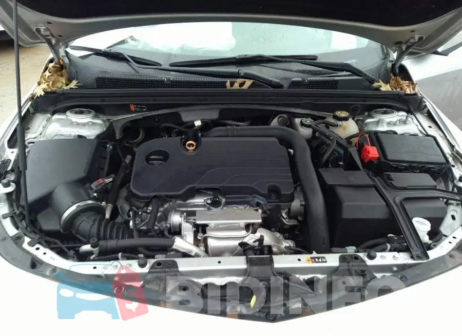 1G1ZD5ST5LF011795 Photo# 10
