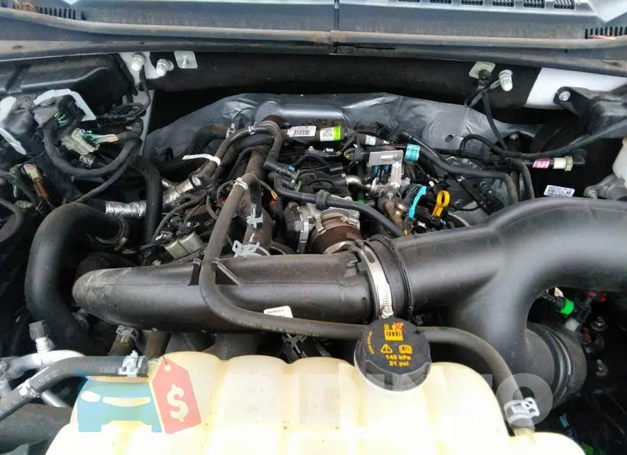 1FTEW1EP2LFA83738 Photo# 10