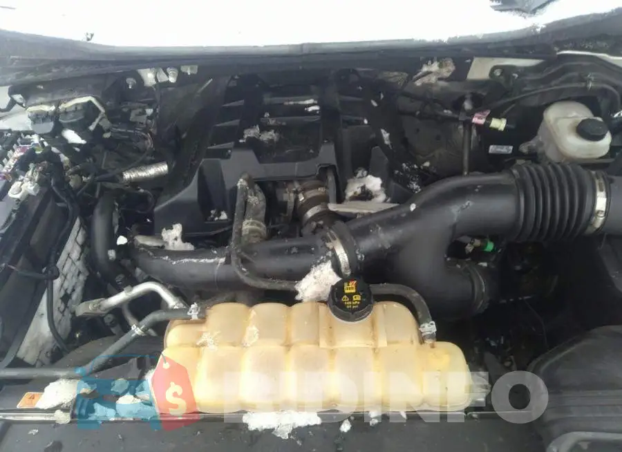 1FTEW1EP7GKF36863 Photo# 10