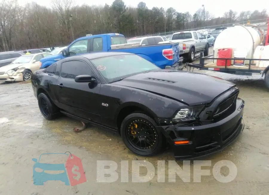 1ZVBP8CF0D5231229 Photo# 1