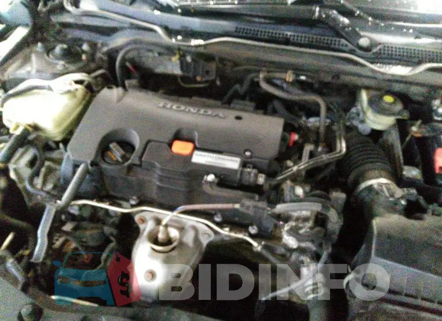 19XFC2F75GE020652 Photo# 10