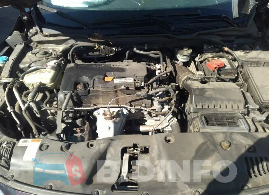 19XFC2F59GE218021 Photo# 10