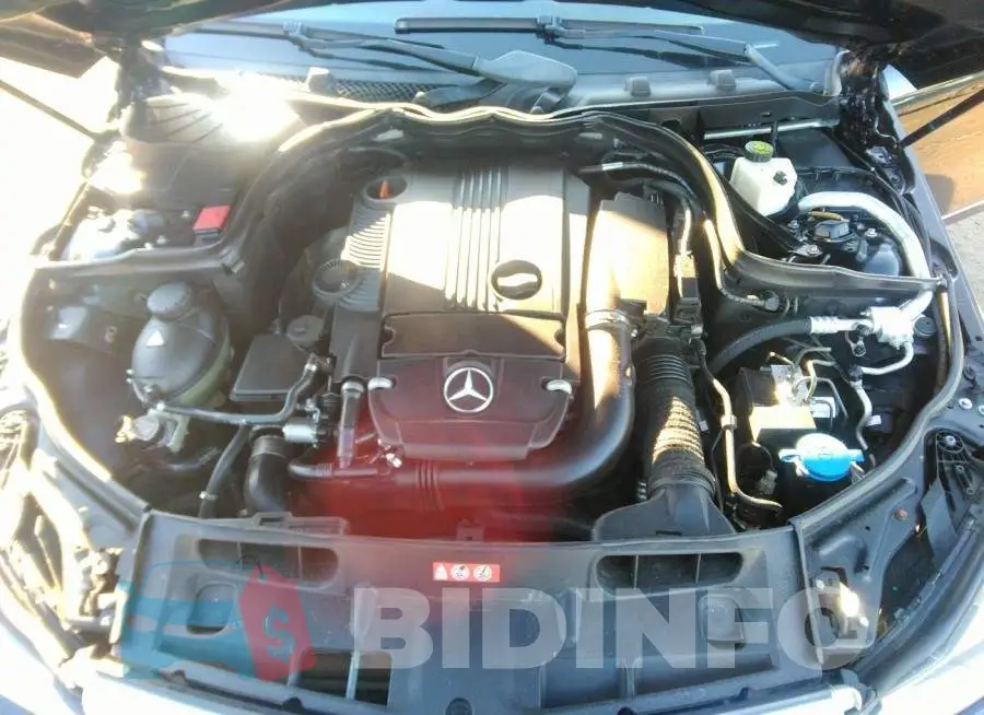 WDDGF4HB5DA767116 Photo# 10