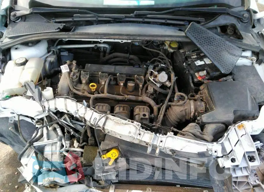 1FADP3K2XGL328912 Photo# 10