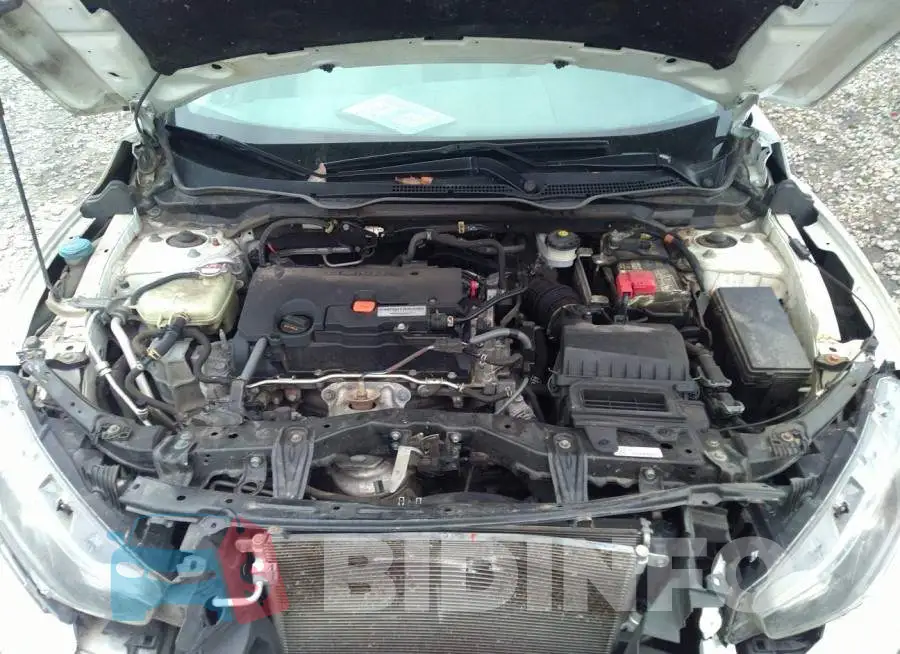 19XFC2F71GE083473 Photo# 10