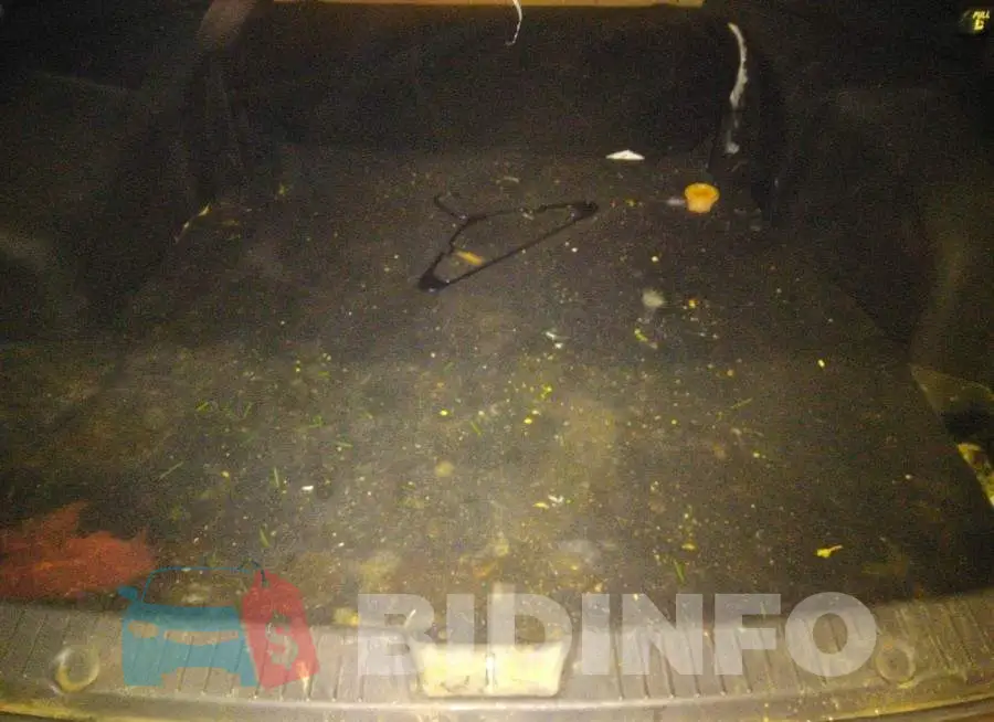 5NPEC4AB1EH857765 Photo# 6