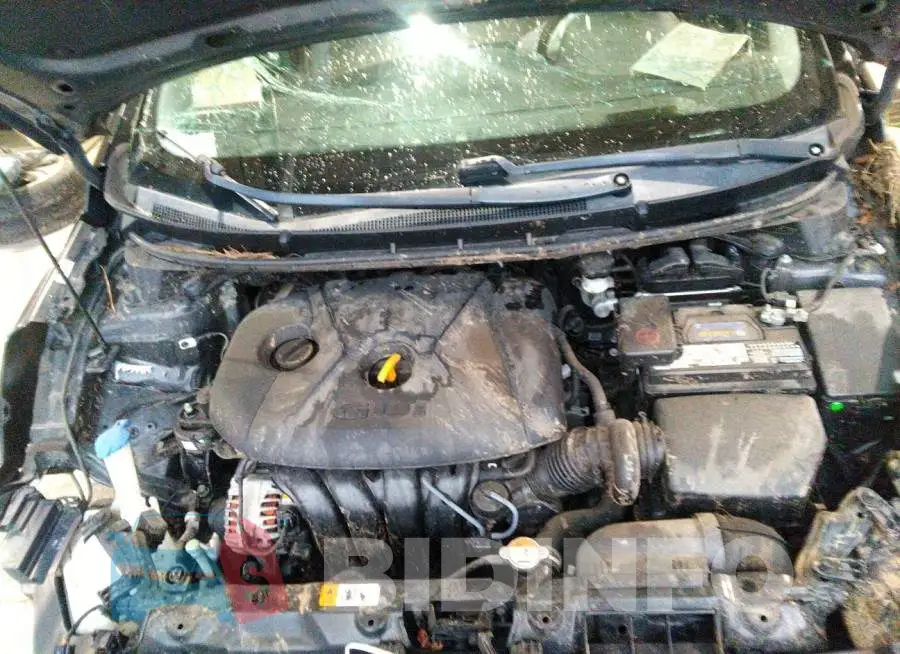 KMHD35LH6FU238617 Photo# 10
