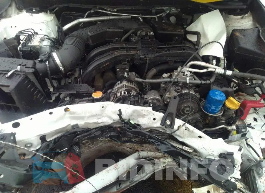 JF2GTHRC3MH250021 Photo# 10