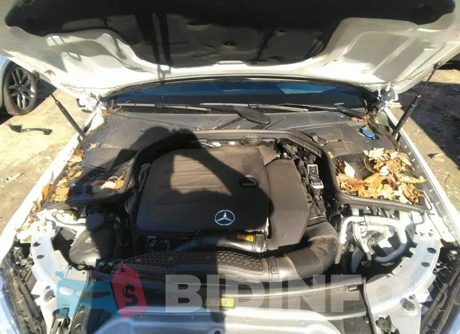 WDDWF8DB1LR527179 Photo# 10