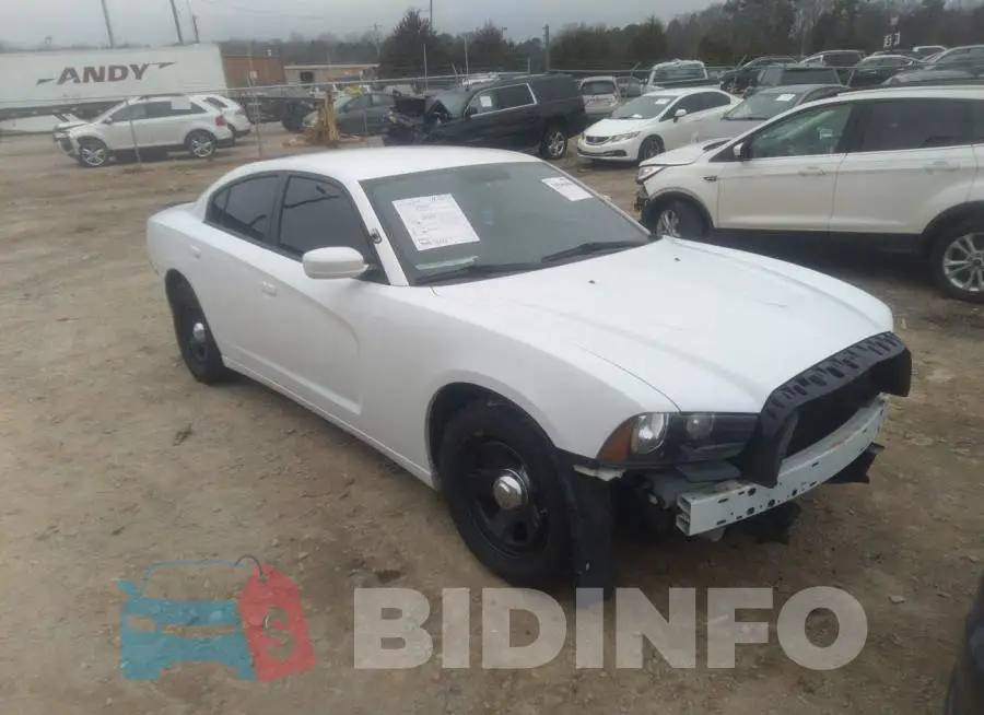 2C3CDXAT4DH555381 Photo# 1