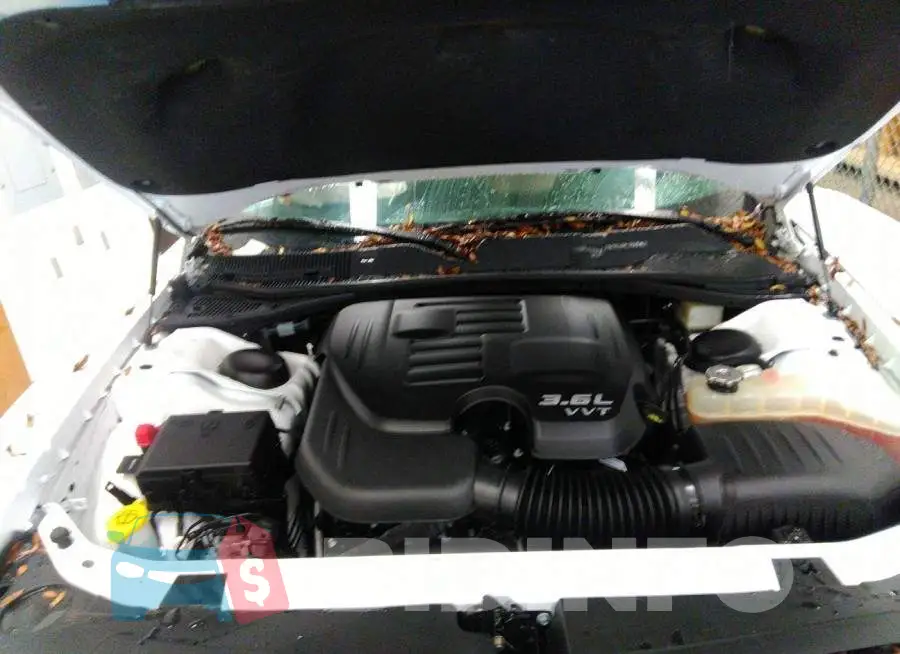 2C3CDZAG4KH680201 Photo# 10