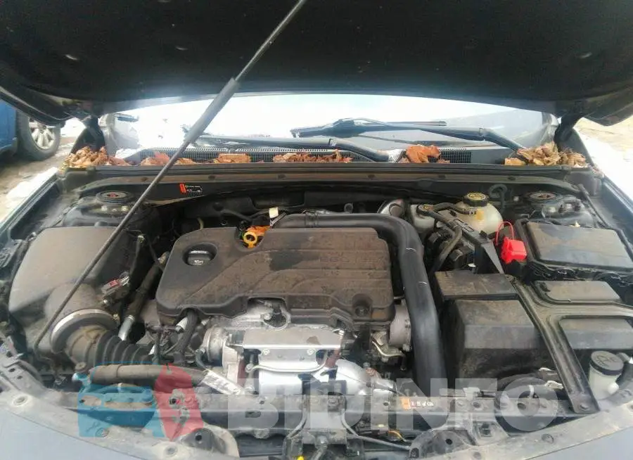 1G1ZD5ST0KF172683 Photo# 10