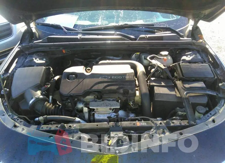 1G1ZD5ST9JF156061 Photo# 10