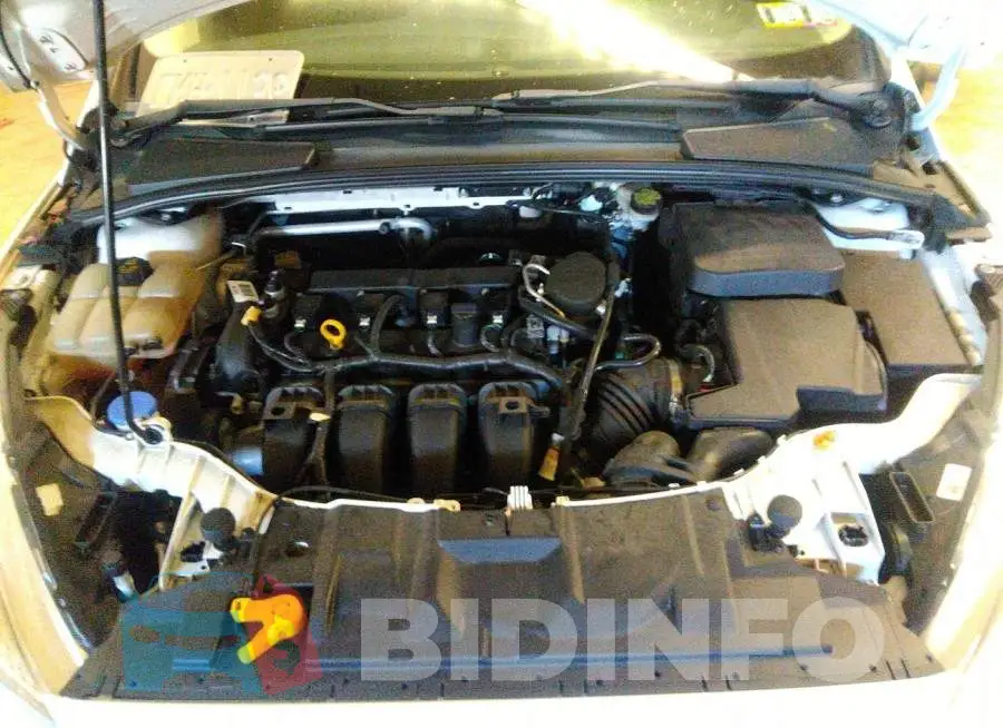 1FADP3E21GL211120 Photo# 10